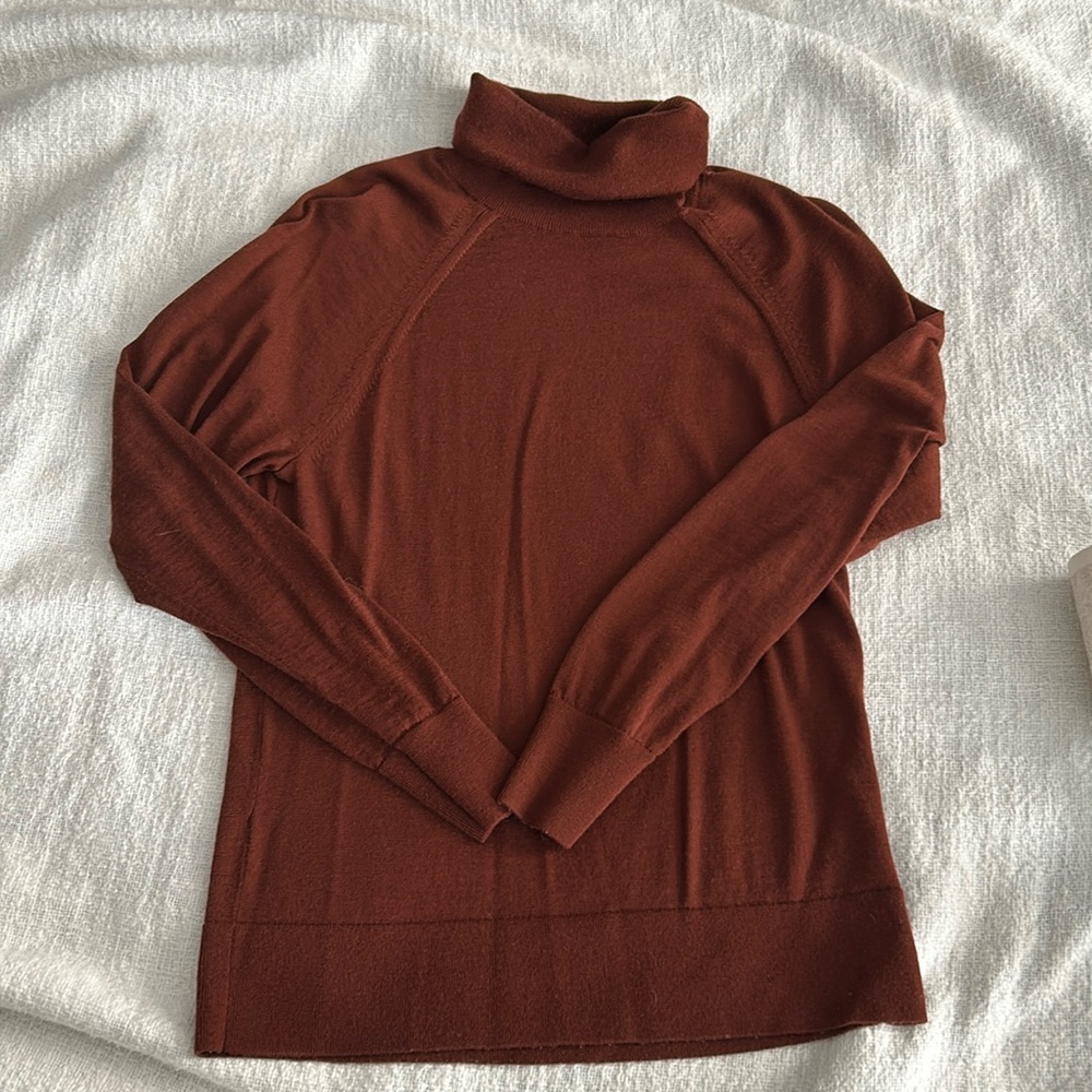 Merino Wool Turtleneck